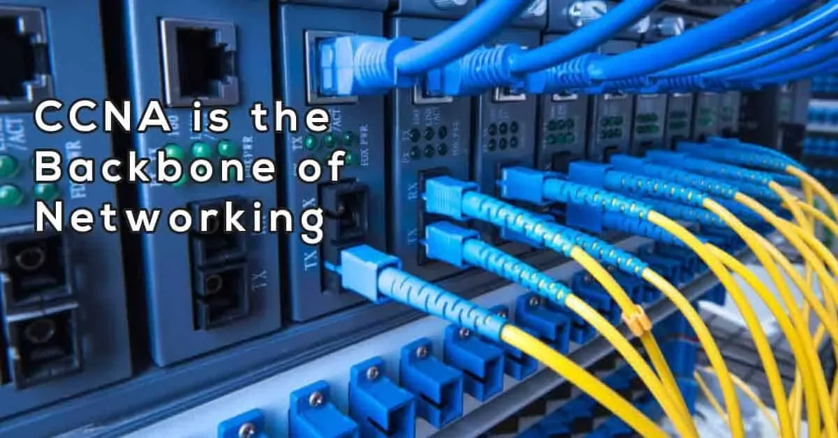 Everything you need to know about CCNA